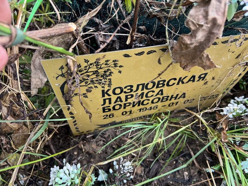 Козловская