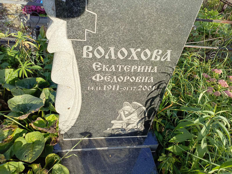Волохова