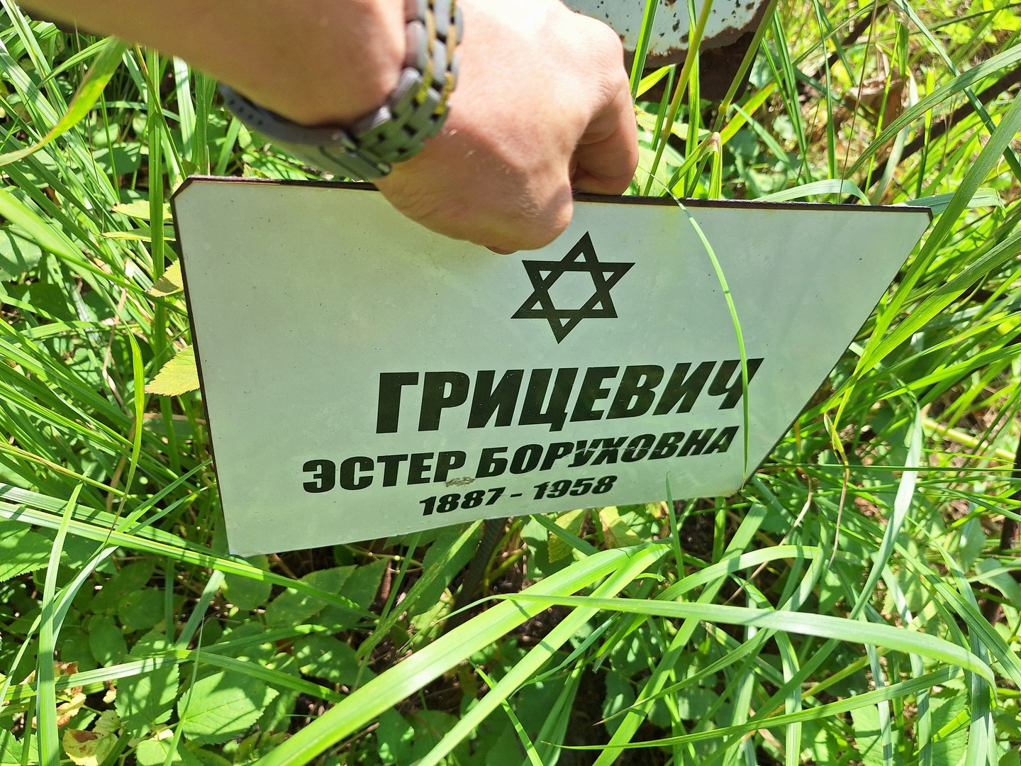 Эстер Грицевич Боруховна