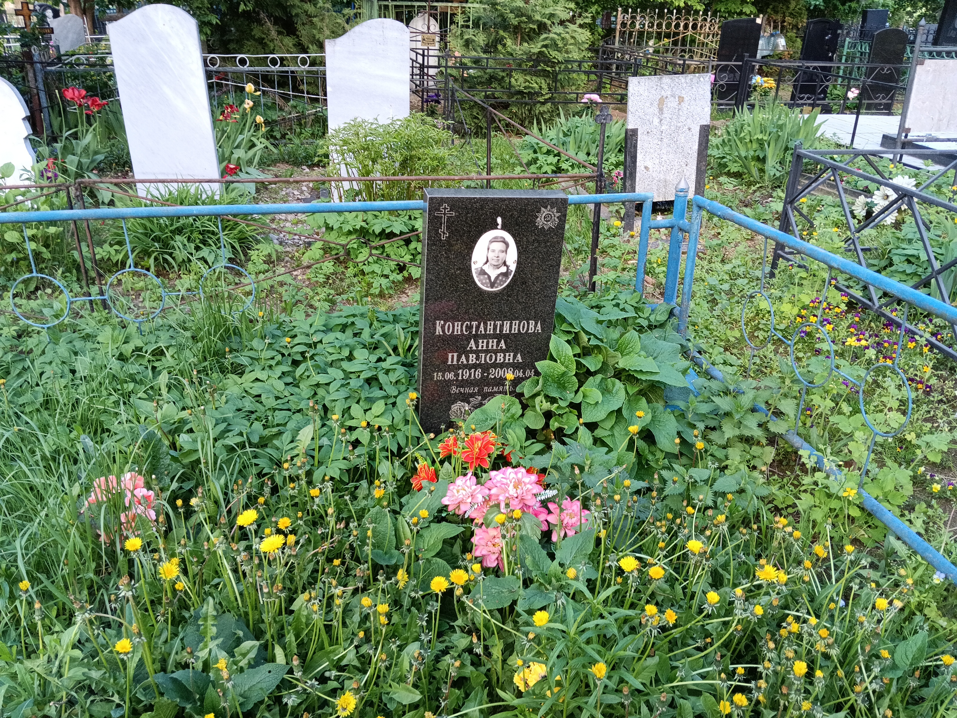 Константинова Анна Павловна