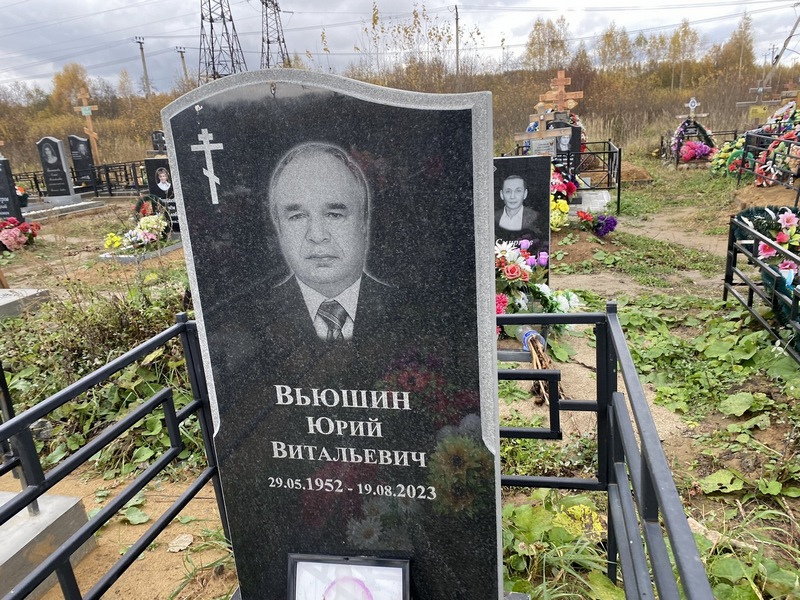 Вьюшин