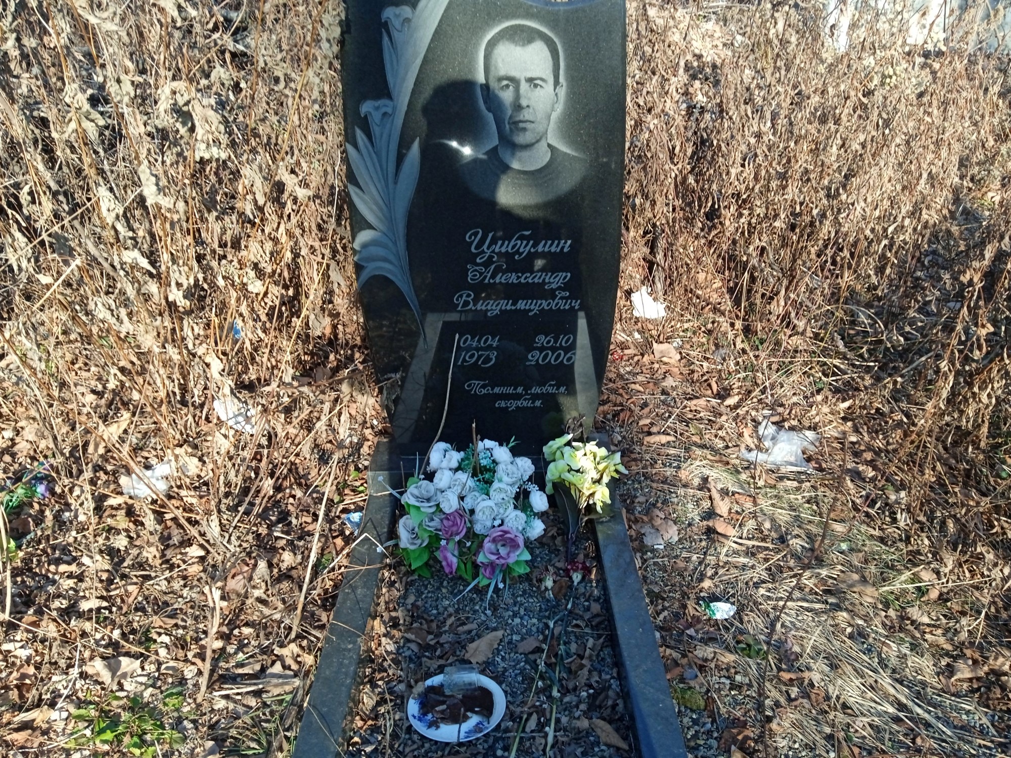 Цибулин Александр Владимирович