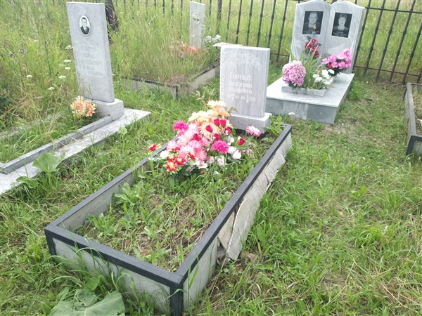 Горных Валентина Ильинична