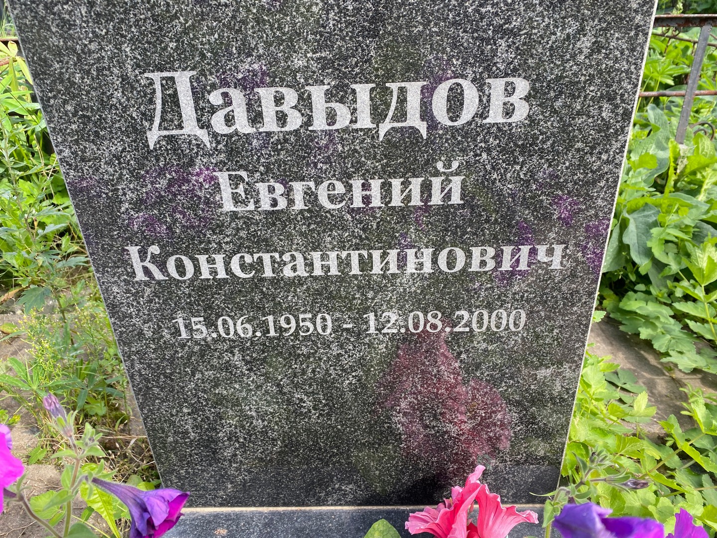 Давыдов