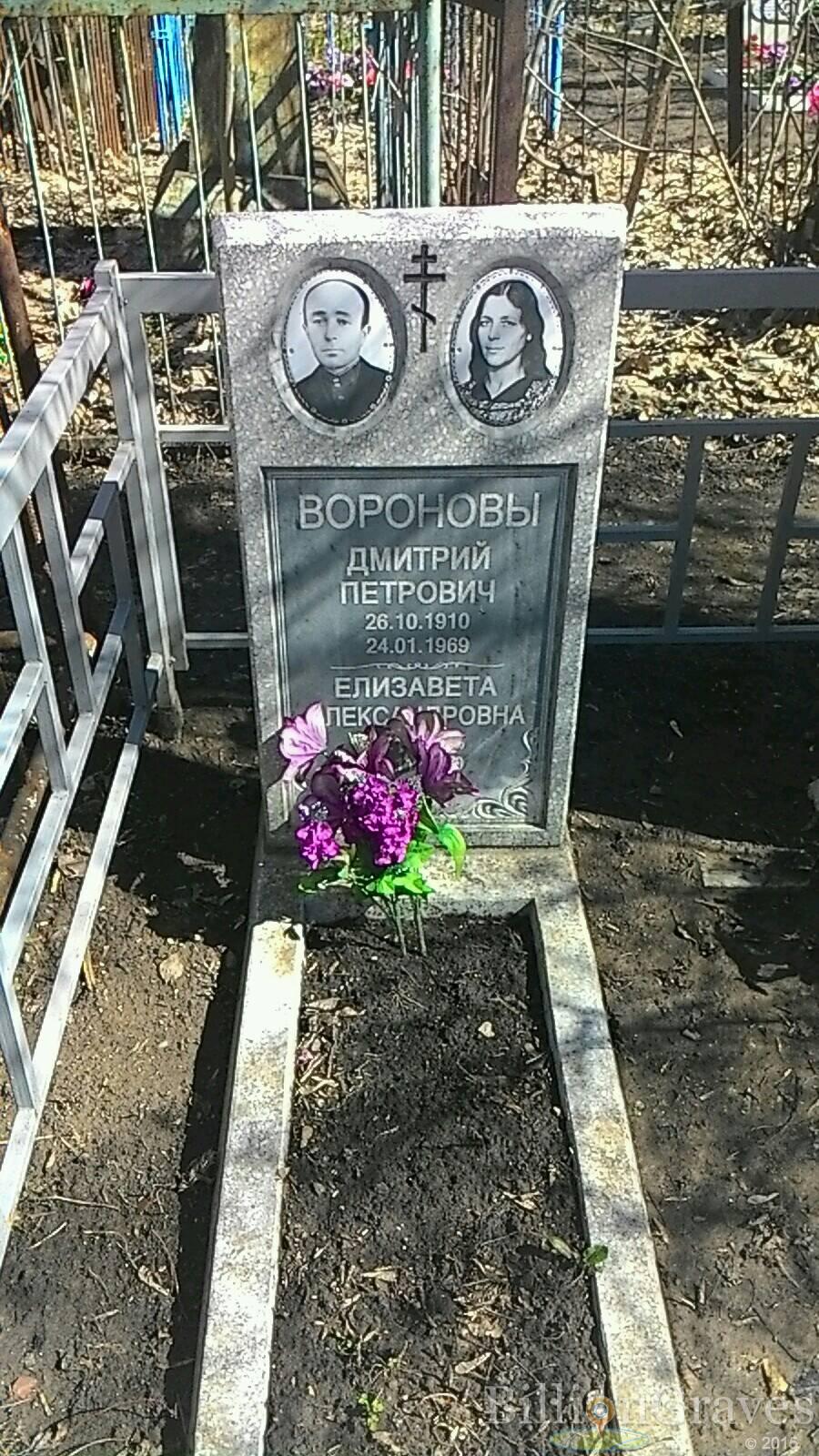 Воронова Елизавета Александровна
