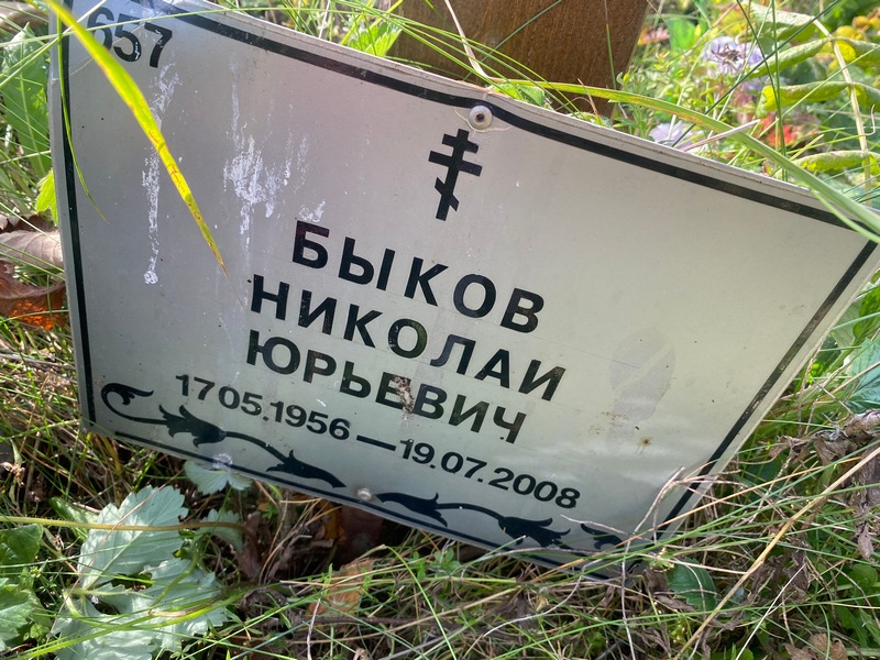 Быков
