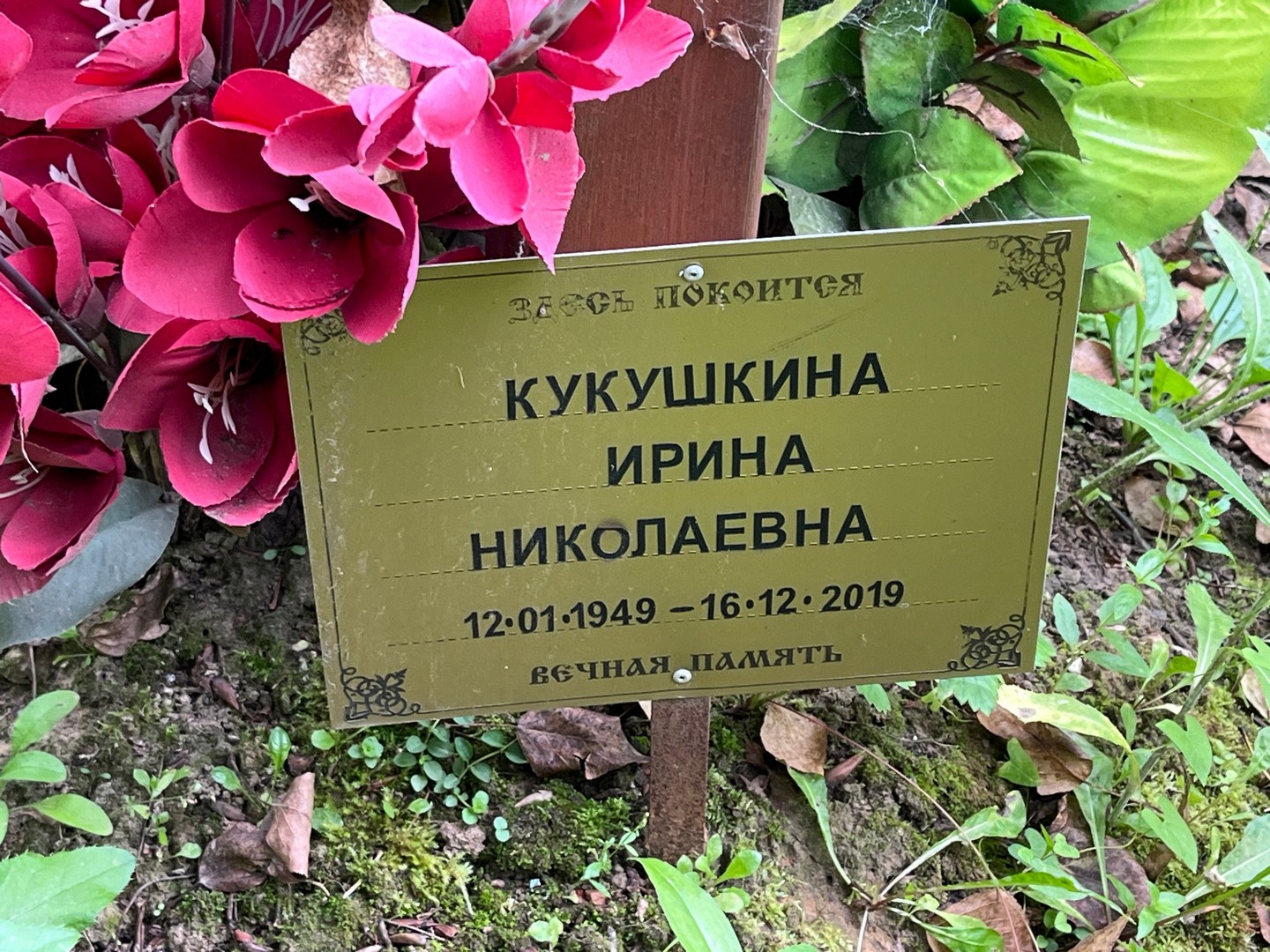 Кукушкина
