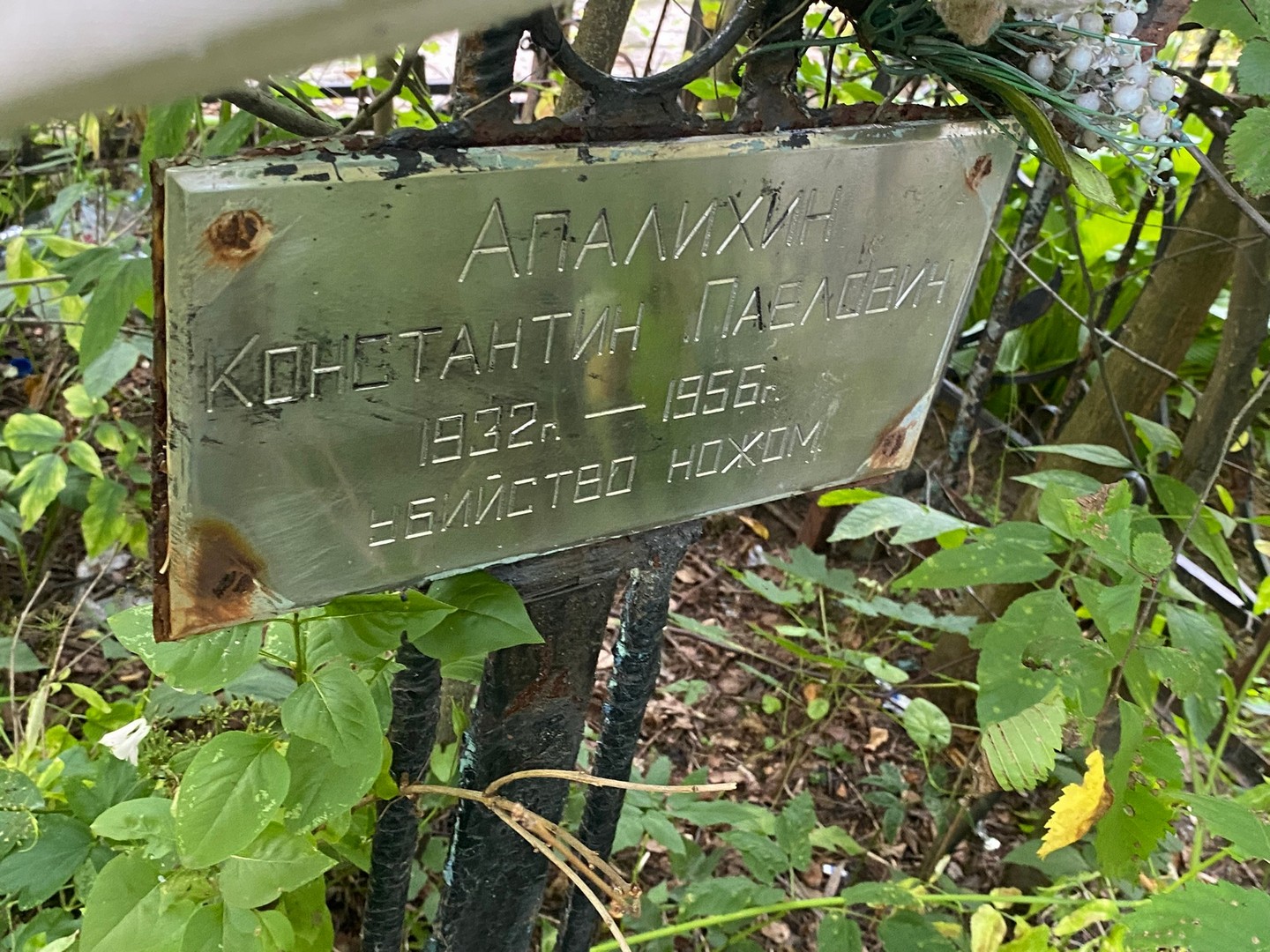 Апалихин