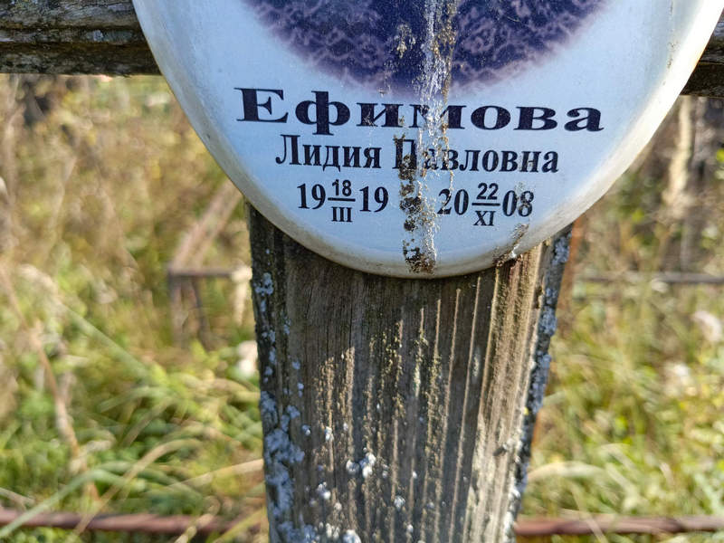 Ефимова