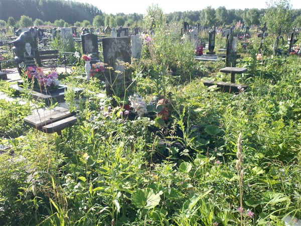 Чернобровкин Анатолий Викторович