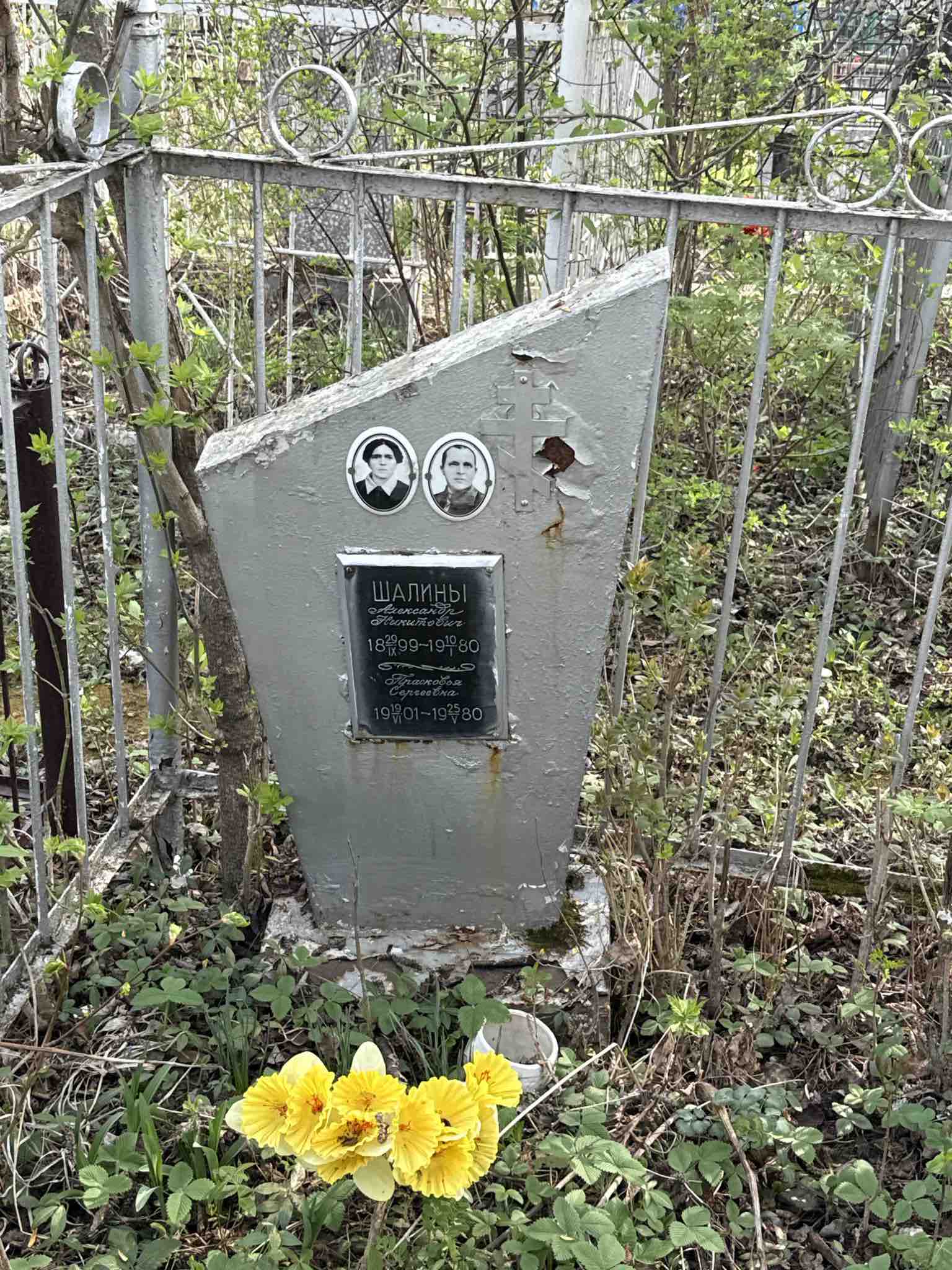 Шалин Александр Никитович