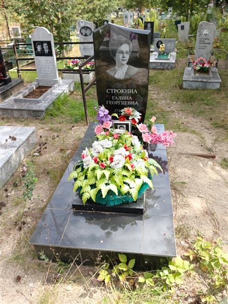 Строкина Галина Георгиевна