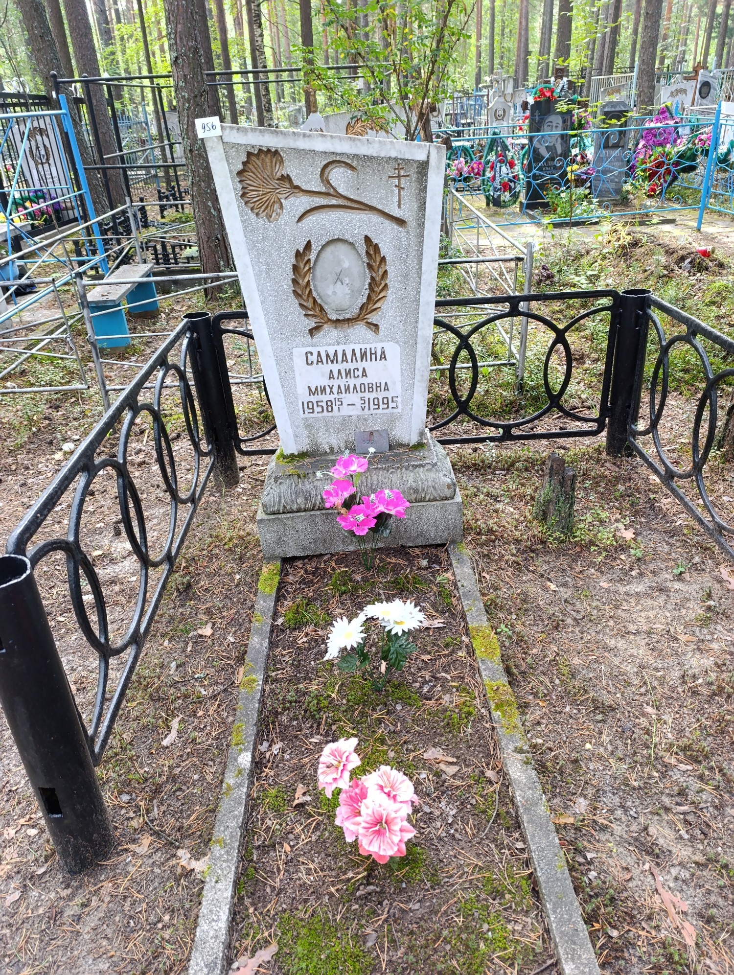 Самалина Алиса Михайловна