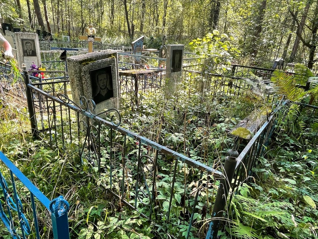 Пятунин Андрей Николаевич