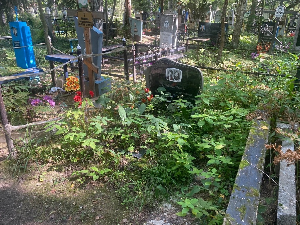 Присталов Владимир Валентинович