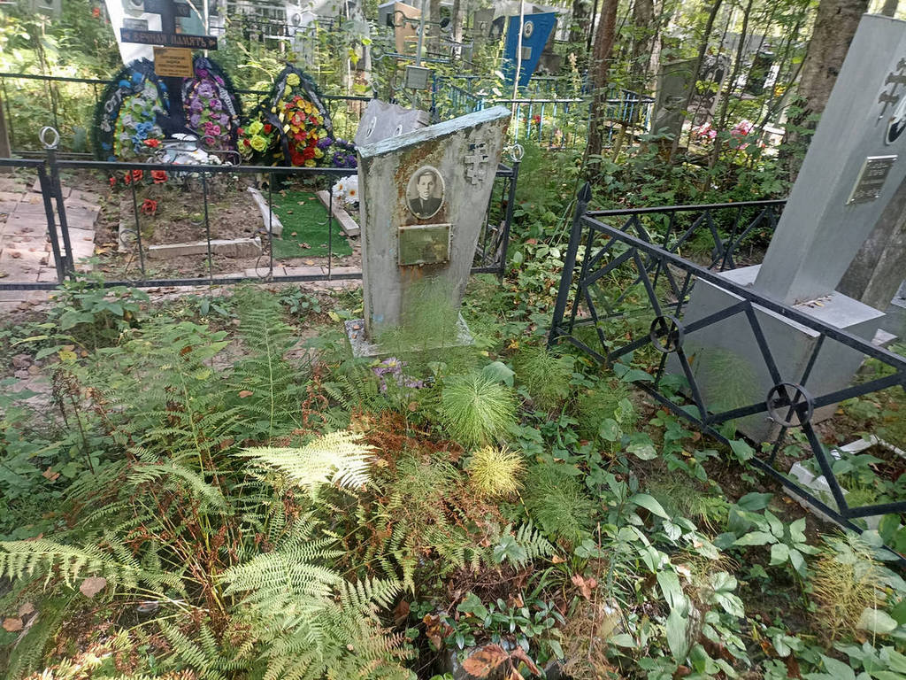 Варенков Александр Николаевич