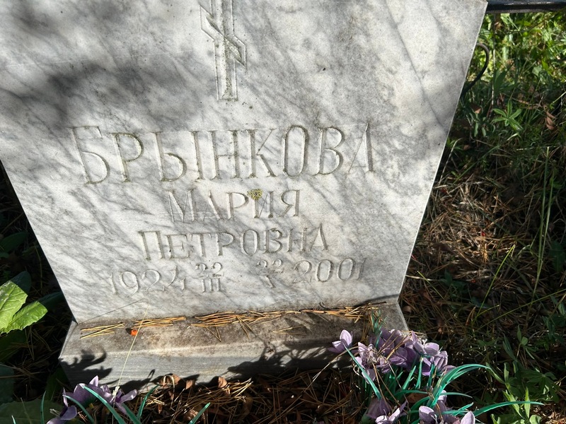 Брынкова