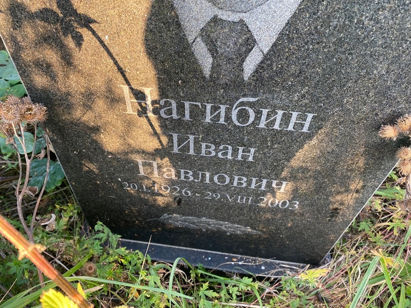 Нагибин