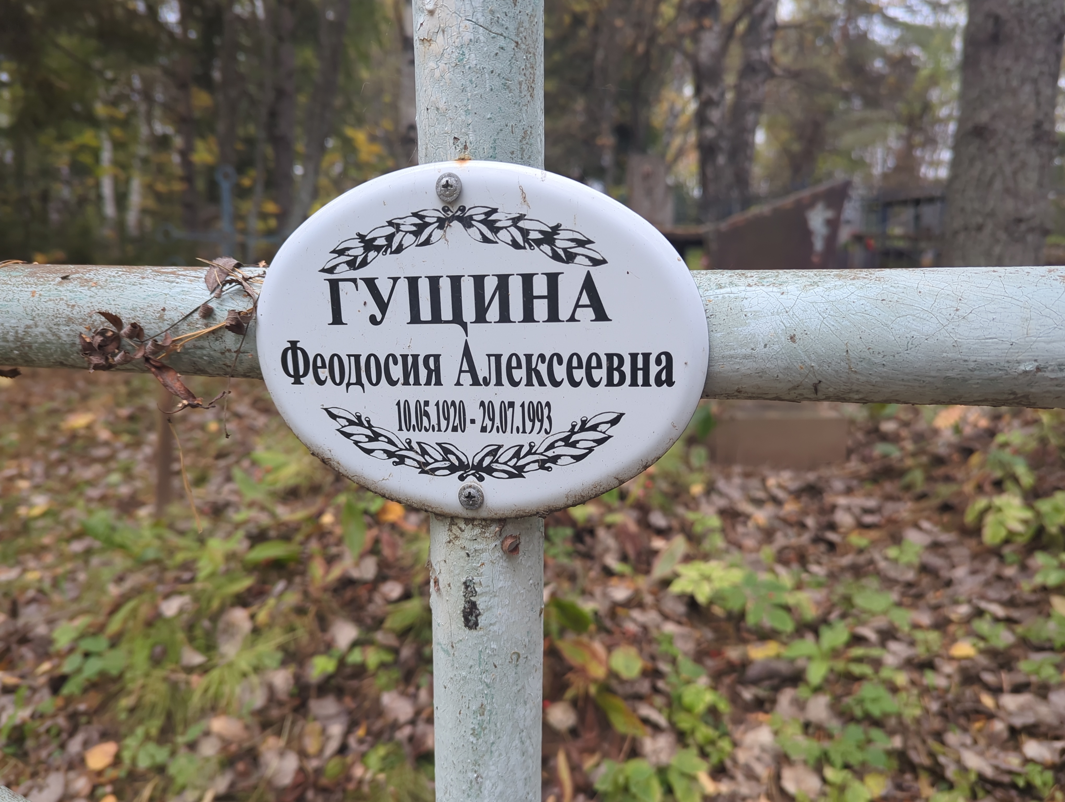 Гущина Феодосия Алексеевна