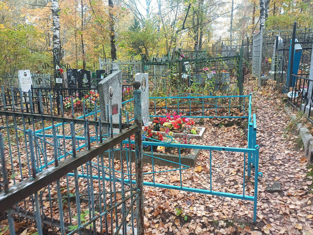 Волков Николай Никандрович