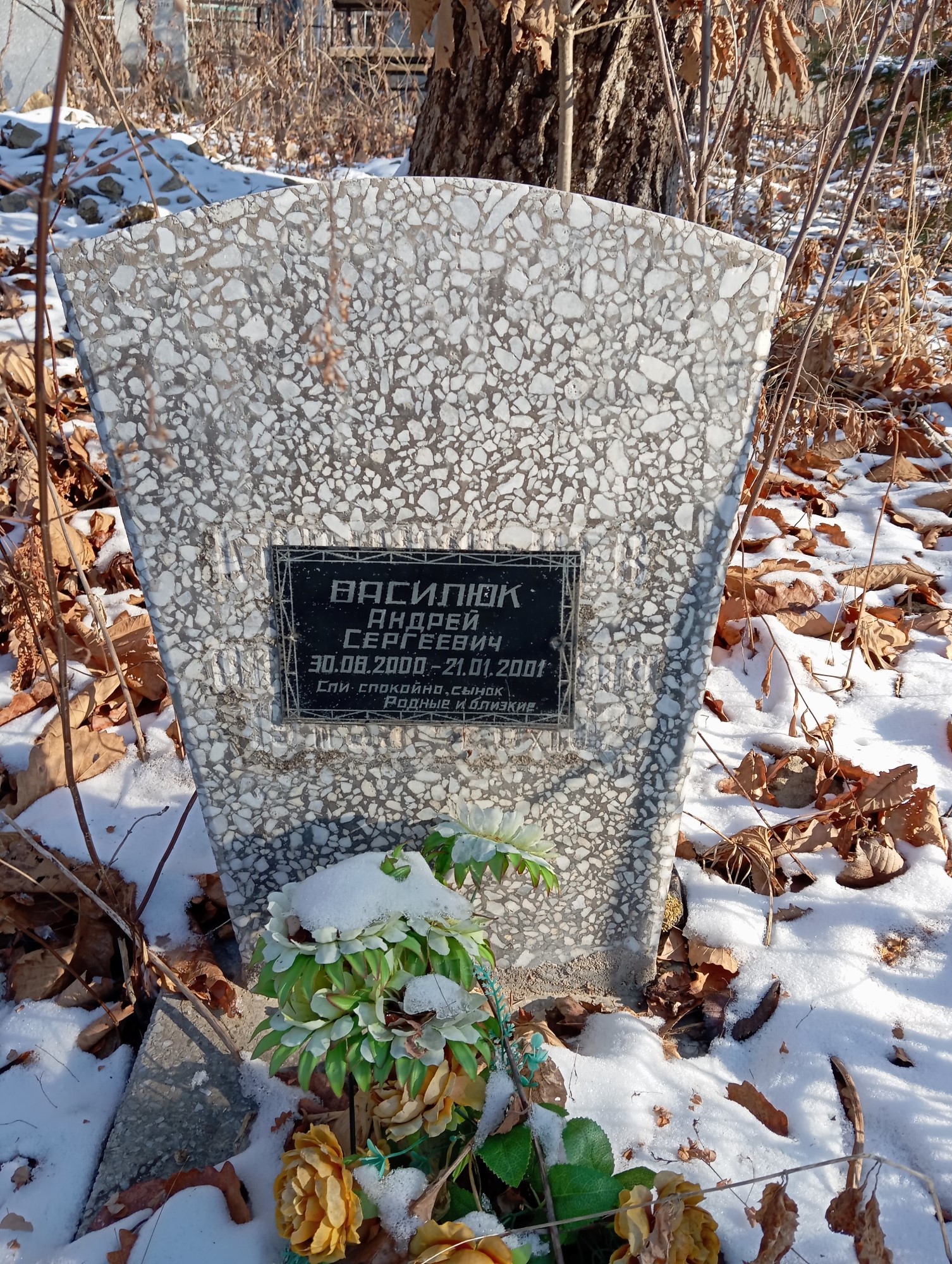 Василюк Андрей Сергеевич