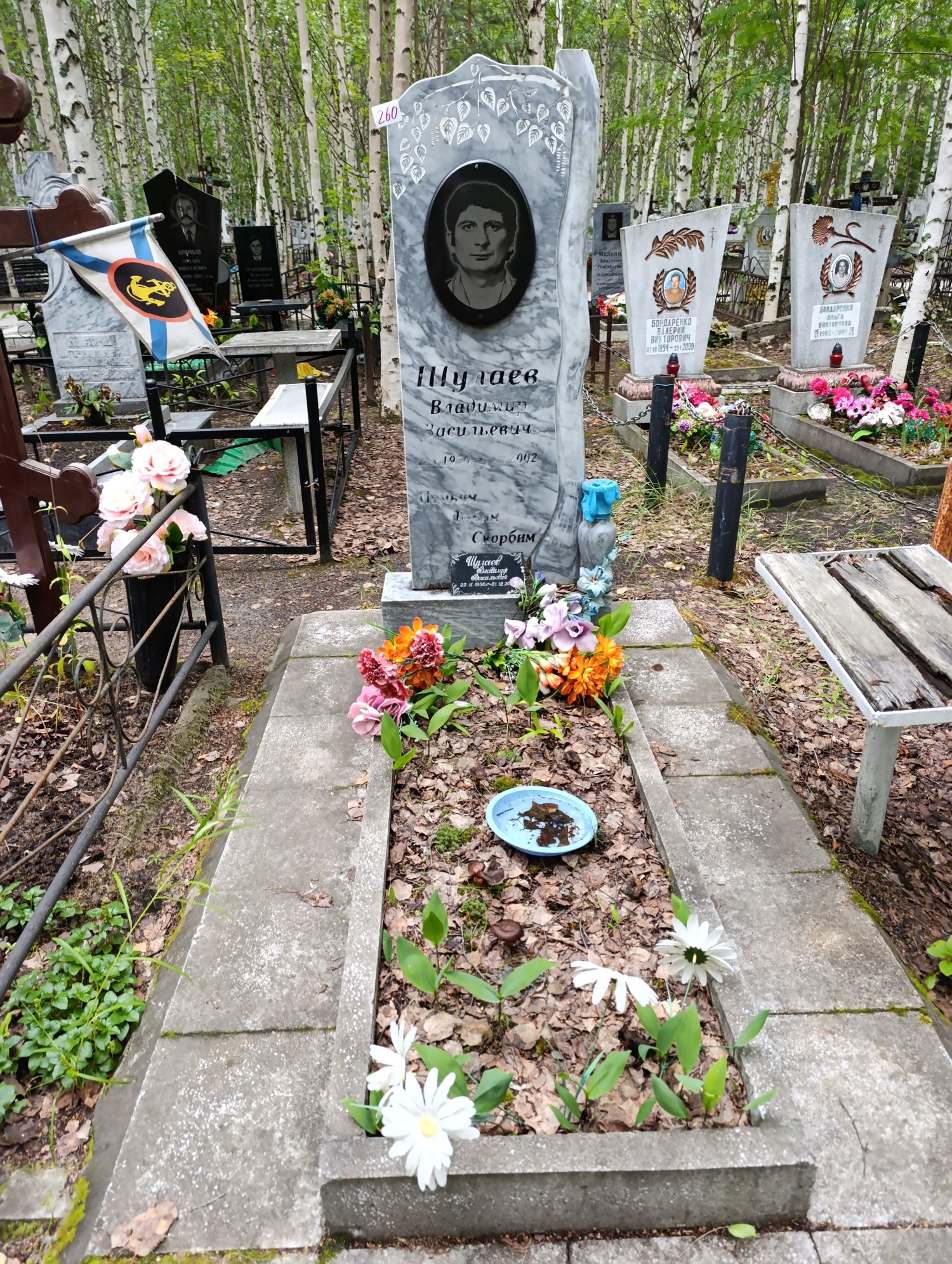 Шулаев Владимир Васильевич