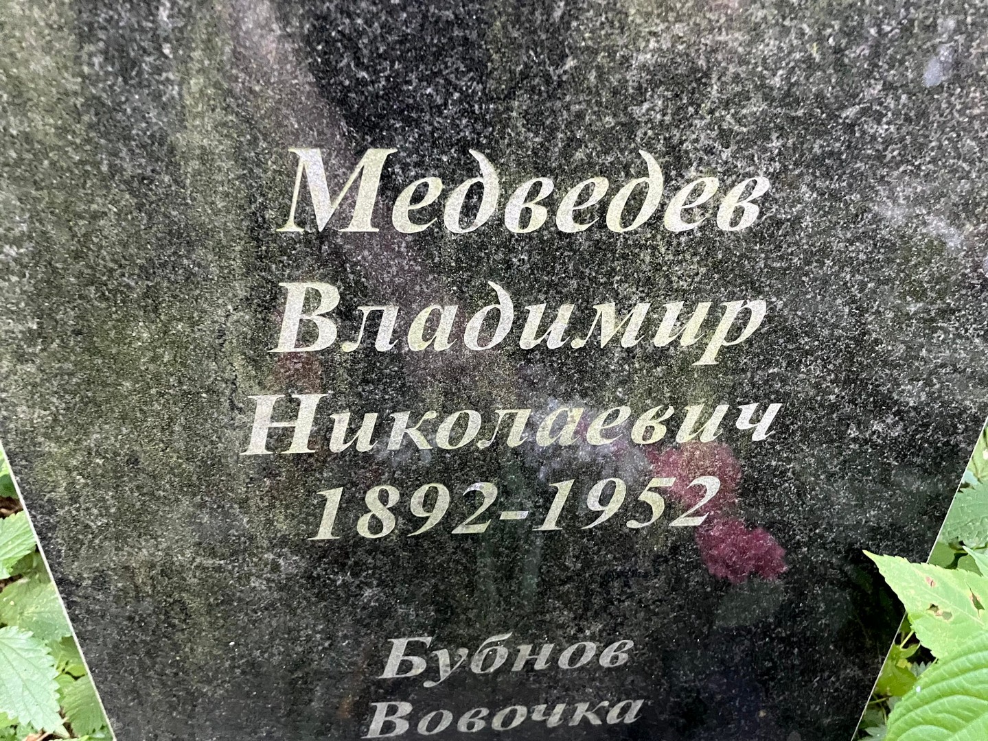 Медведев