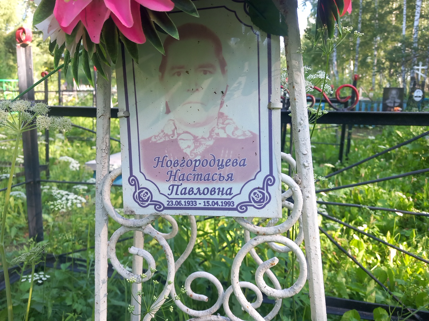 Новгородцева Настасья Павловна