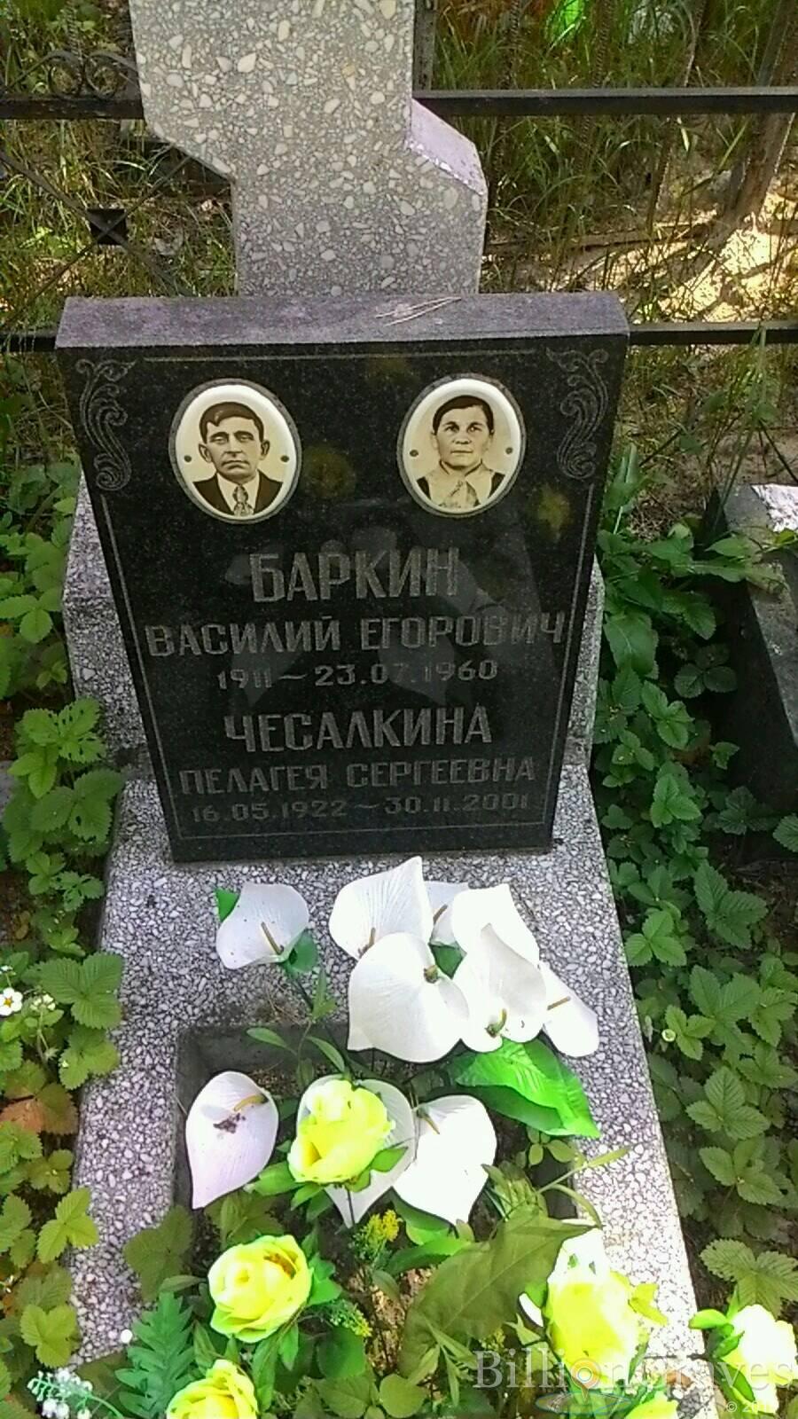 Баркин Василий Егорович