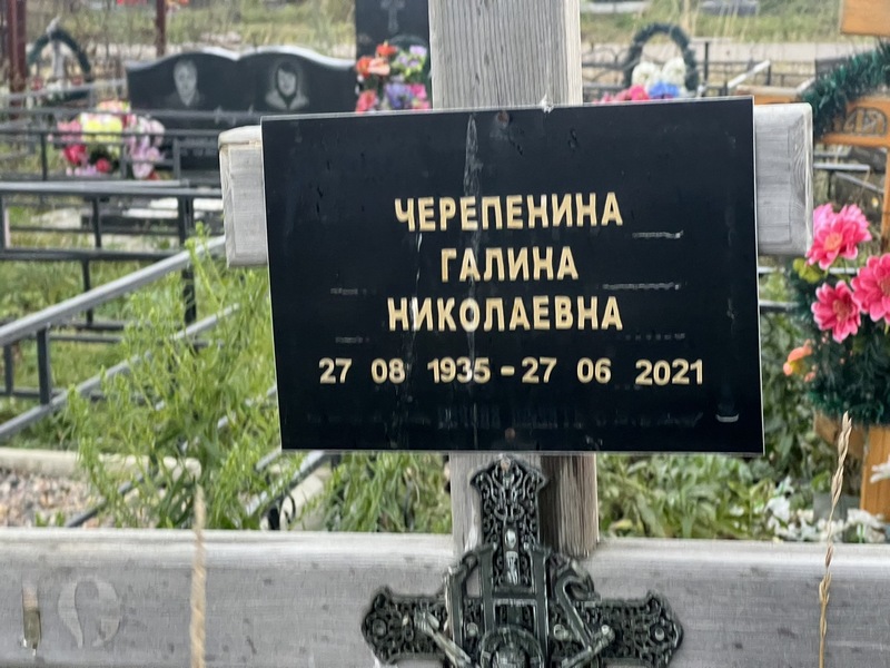 Черепенина