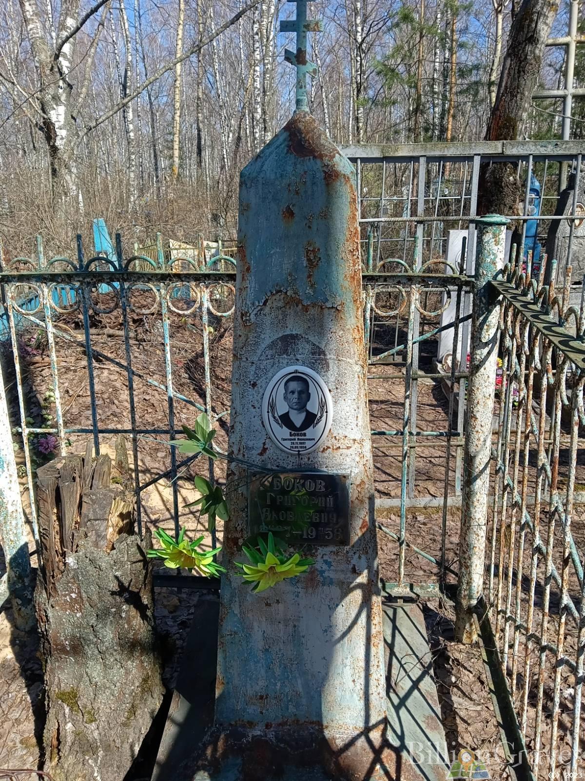Боков Григорий Яковлевич