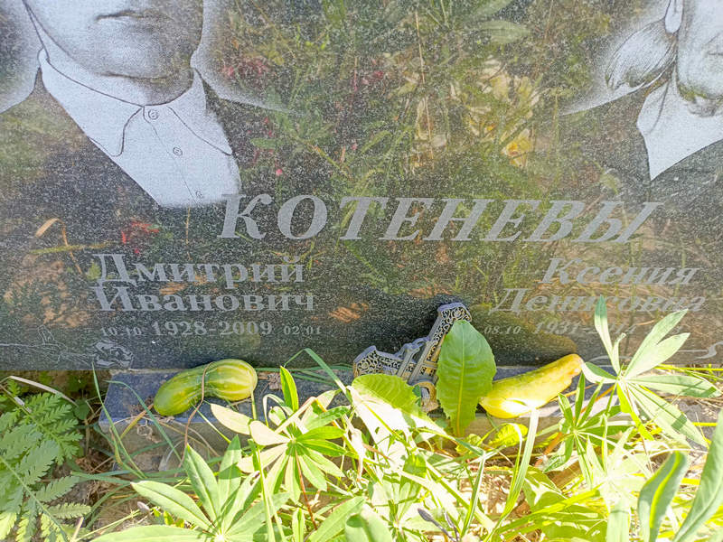 Котенев
