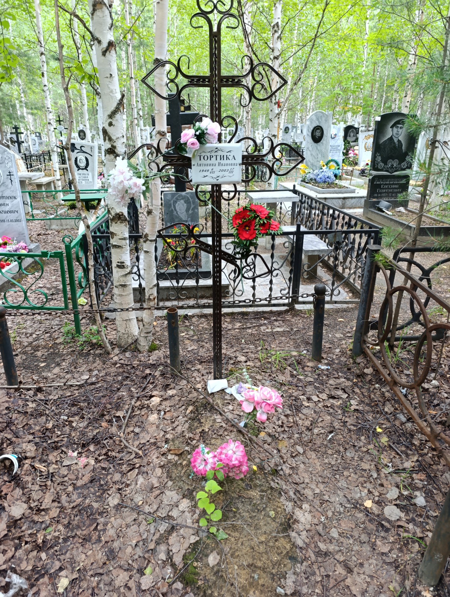 Тортика Антонина Ивановна
