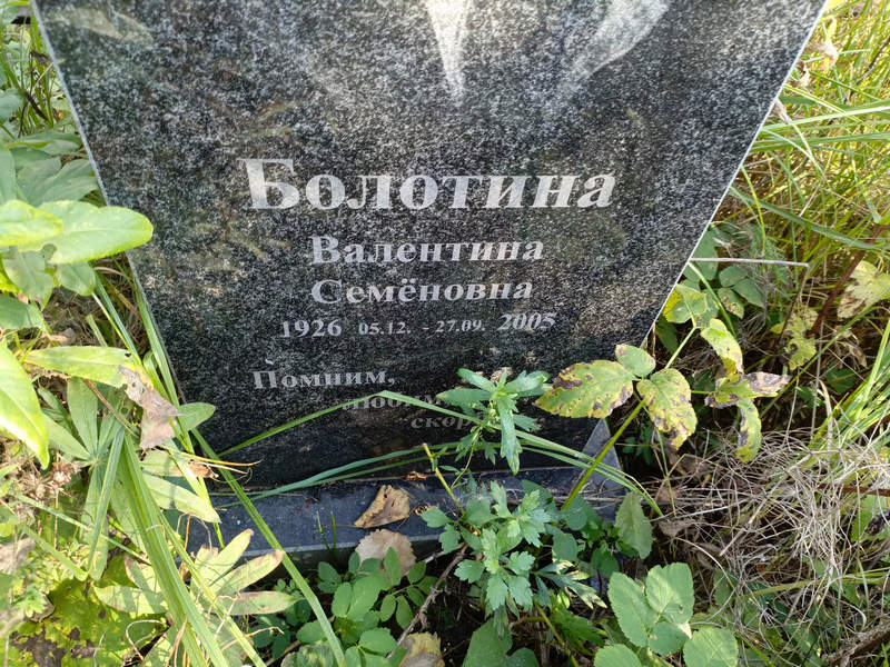 Болотина