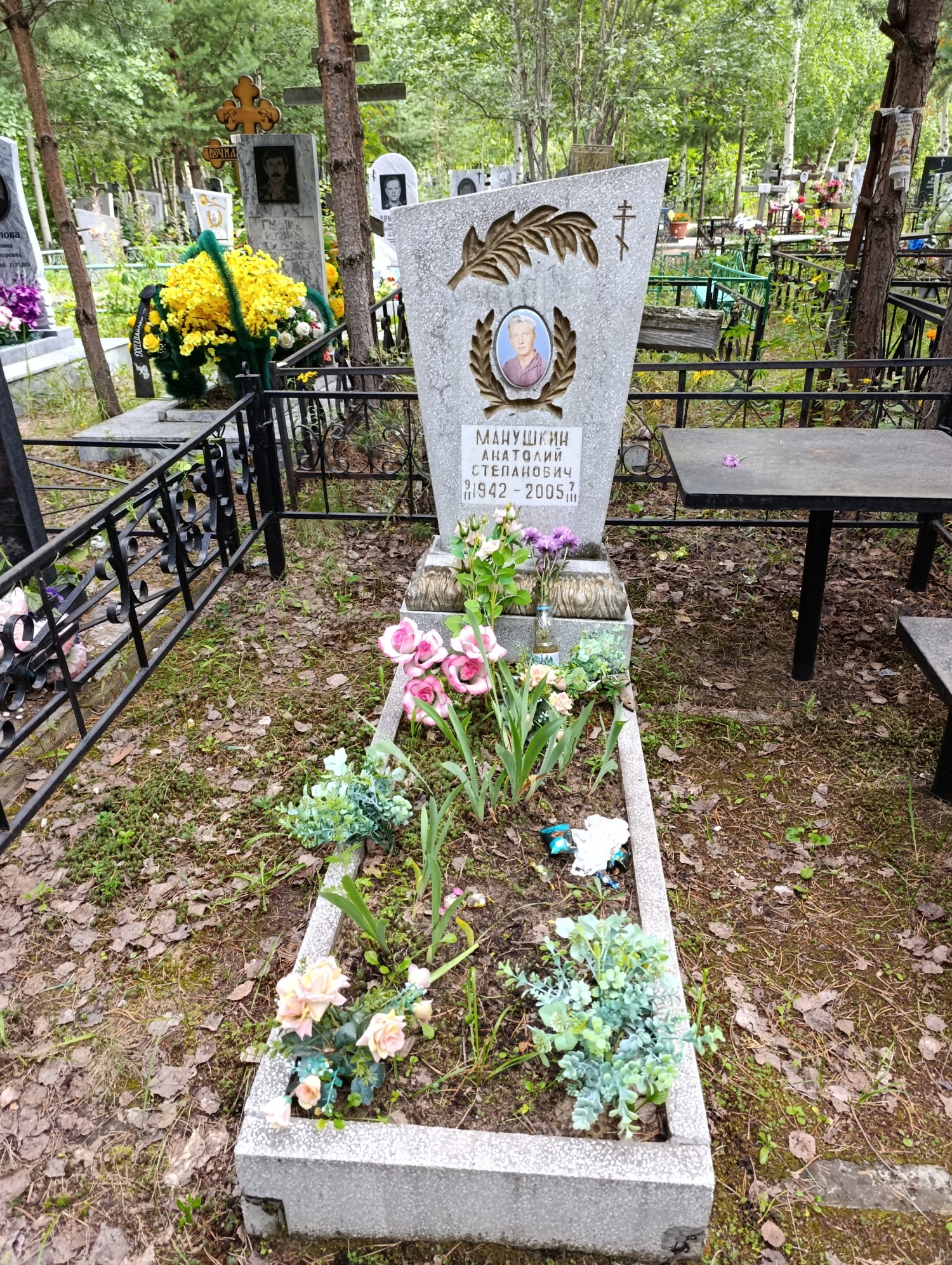 Манушкин Анатолий Степанович