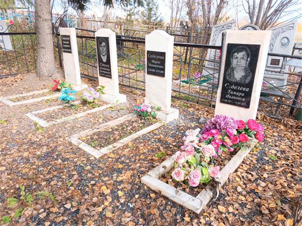 Сиделев Дмитрий Андреевич