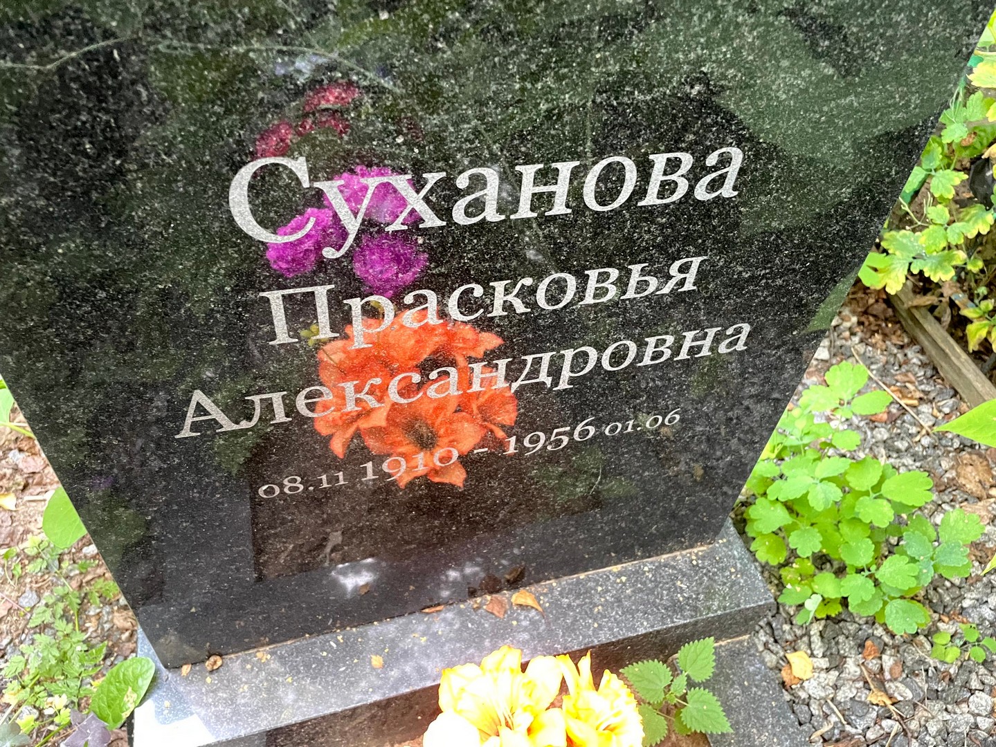 Суханова Прасковья Александровна