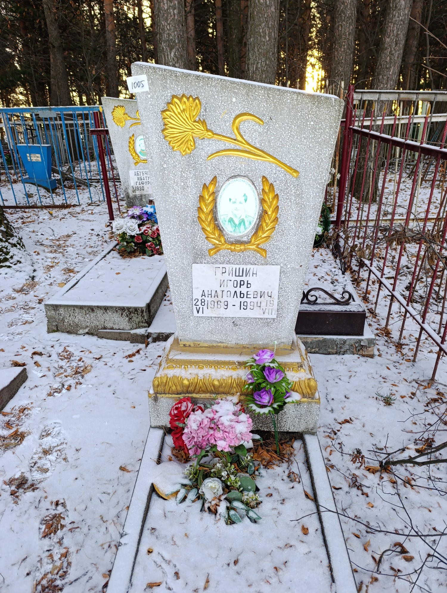 Гришин Игорь Анатольевич