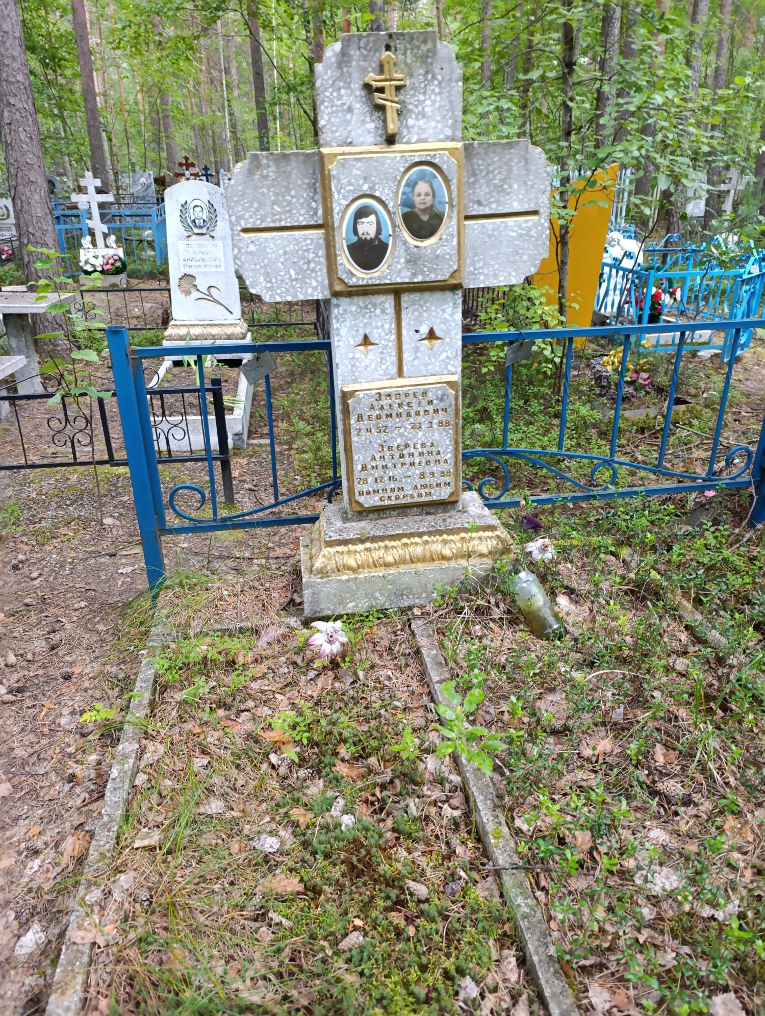 Зверев Алексей Деомидович