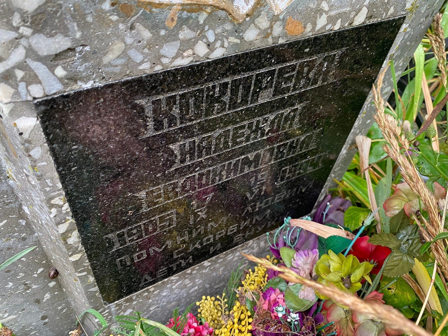 Кокорева
