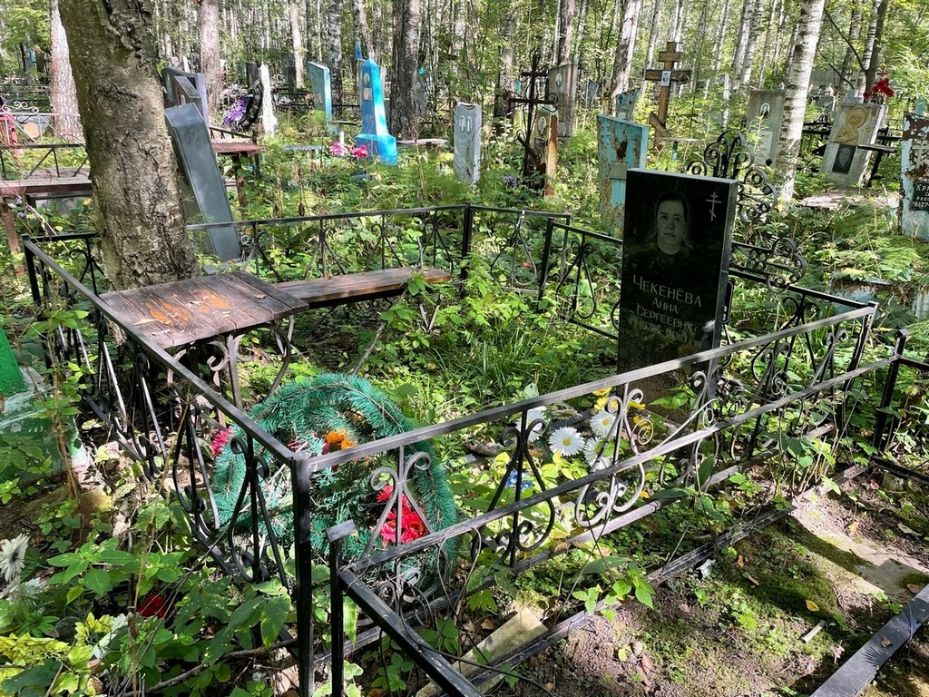 Чекенева Анна Сергеевна