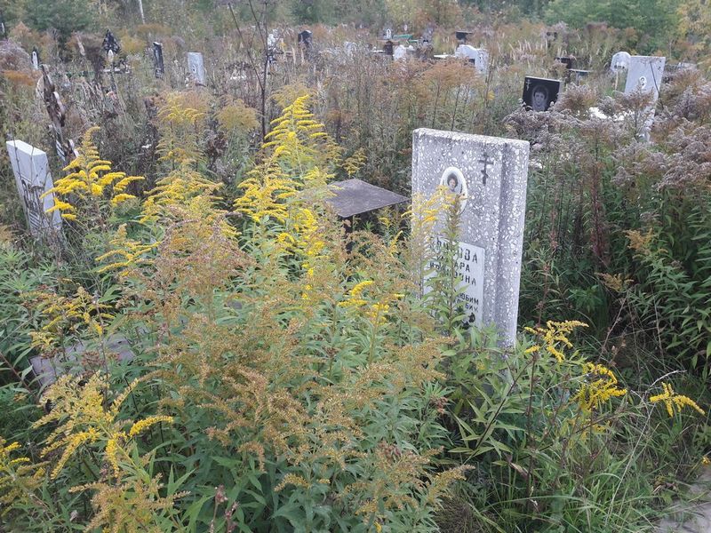 Грубова Тамара Ивановна