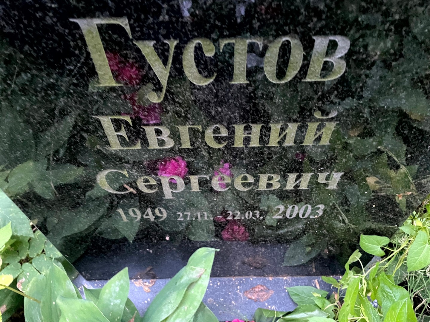 Густов