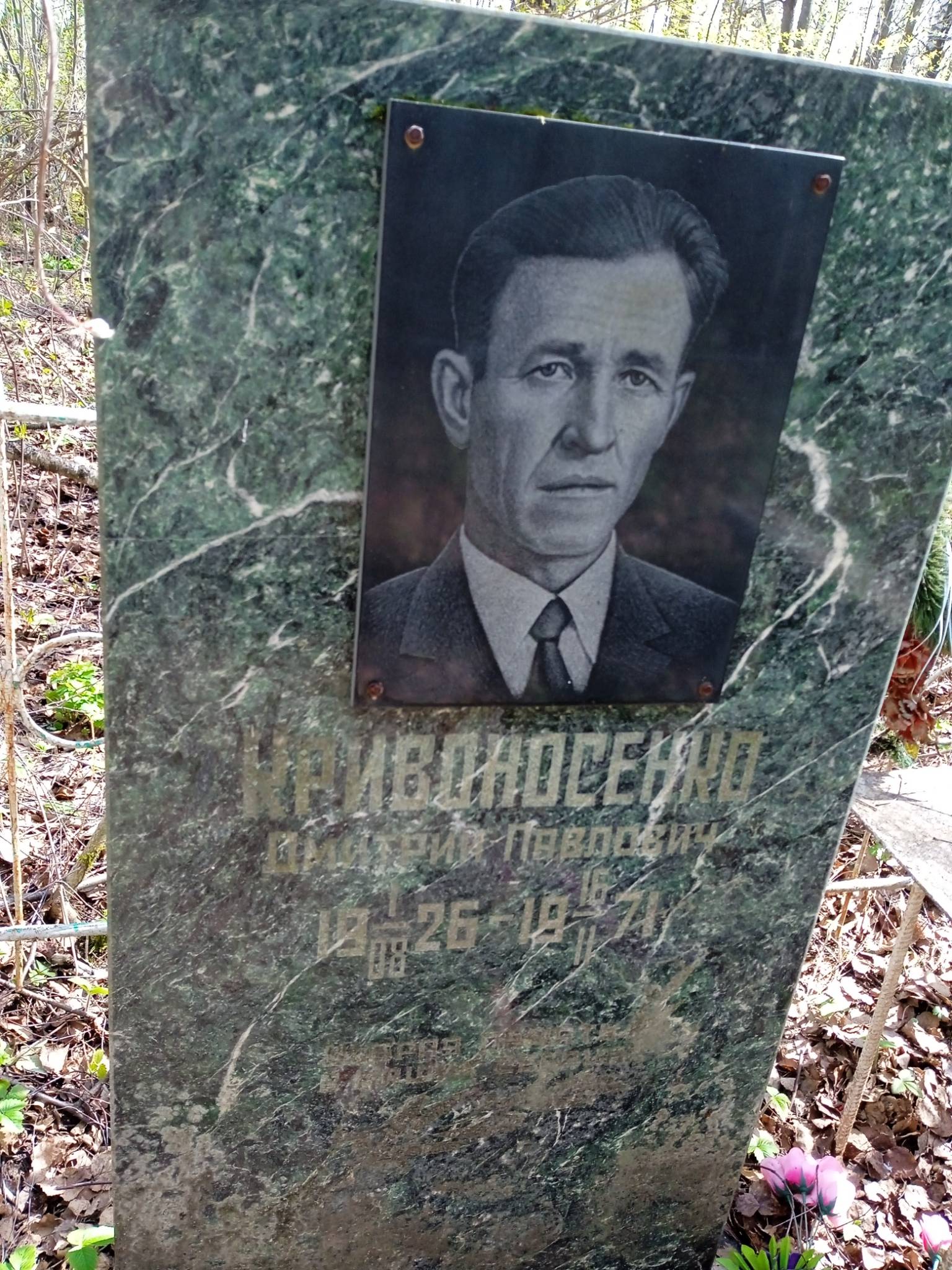 Кривоносенко Дмитрий Павлович