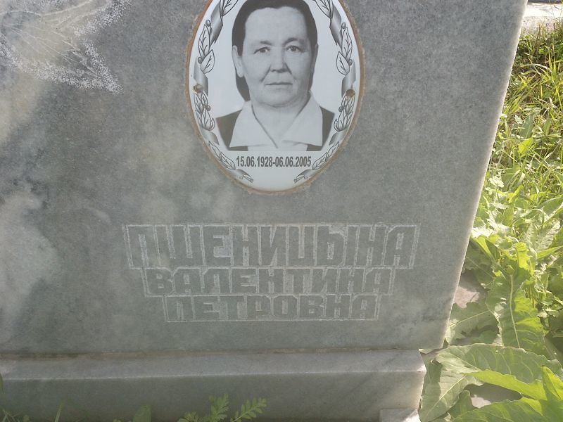 Пшеницына