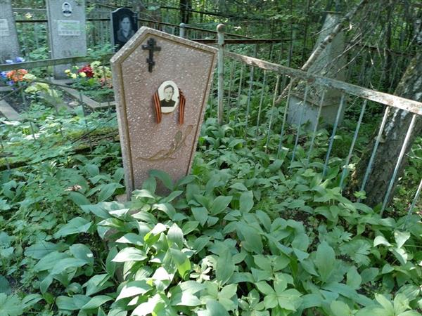 Горбач Анатолий Ефимович