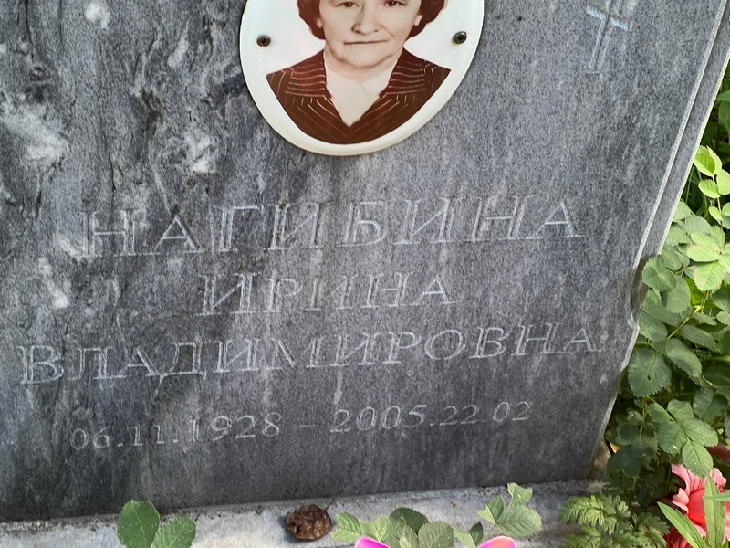 Нагибина