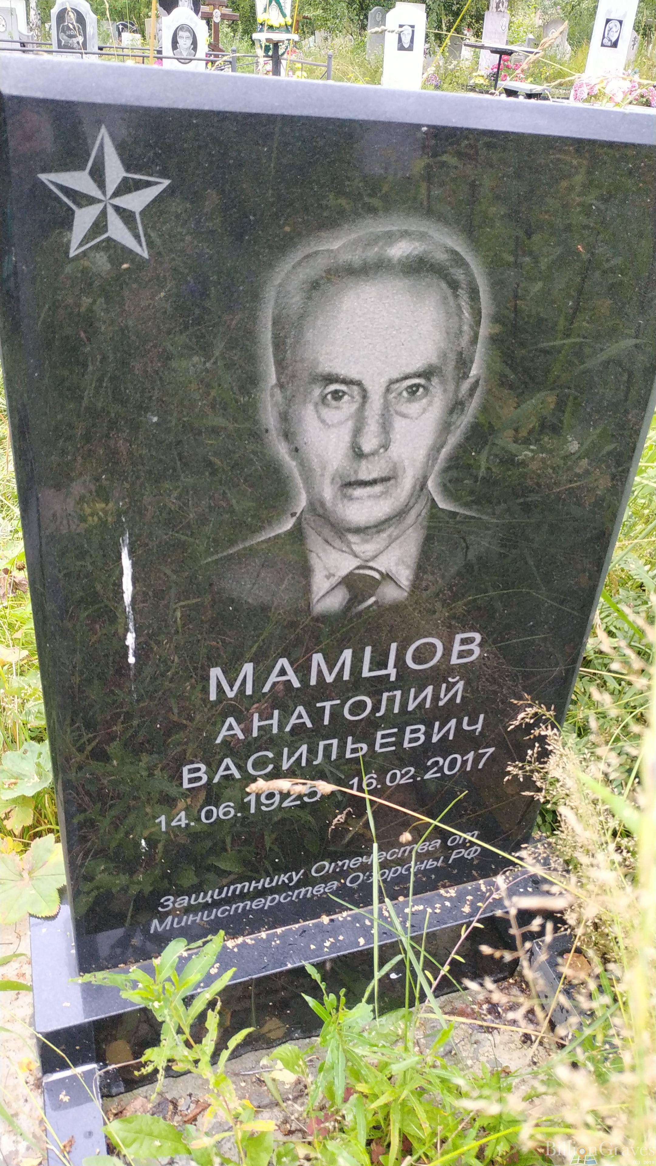 Мамцов Анатолий Васильевич