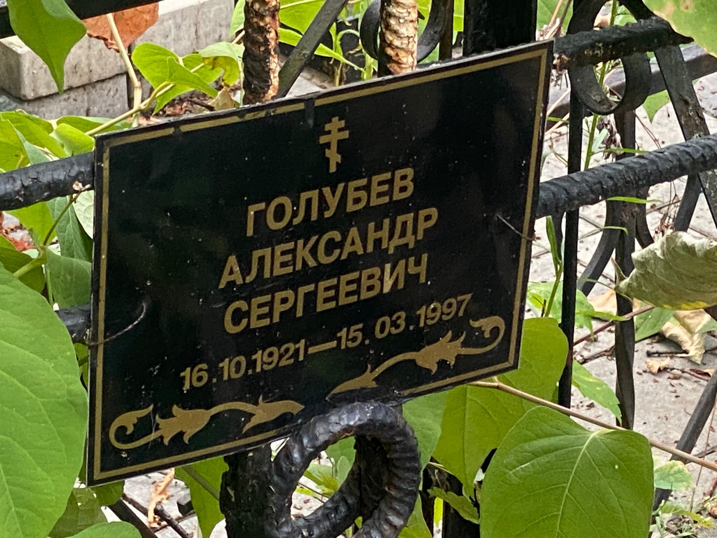 Голубев