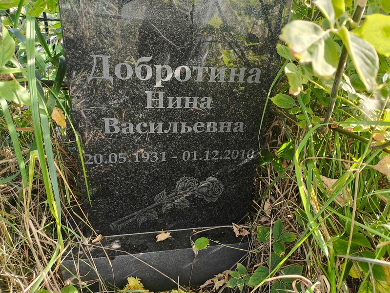 Добротина